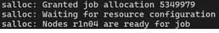 Terminal showing a granted Slurm allocation on node r1n04.